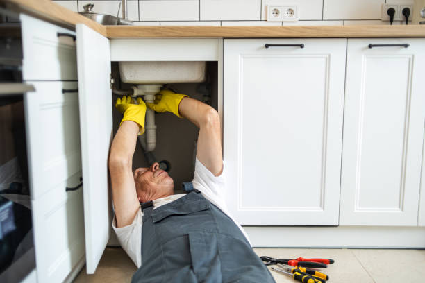 Best Plumbing Services Near Me  in Mammoth Spring, AR
